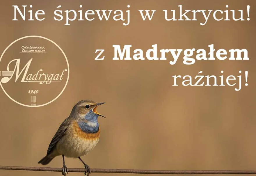 Dołącz do Chóru Madrygał!